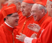 Cardinal Tagle after being made a cardinal last November. (CNS/Paul Haring)