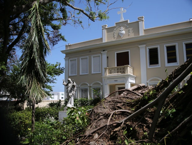 An uprooted tree is seen in front of the Catholic chancery in San Juan, Puerto Rico, Oct. 20, a month after Hurricane Maria devastated the island. (CNS/Bob Roller) 