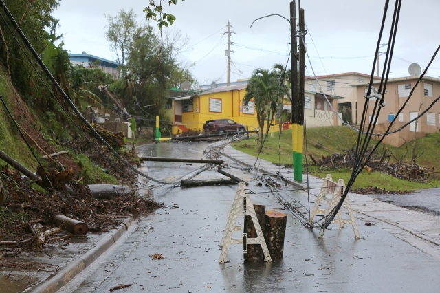 Downed power lines are seen Oct. 24 in Las Marias, Puerto Rico, more than one month after Hurricane Maria devastated the island. (CNS/Bob Roller) 